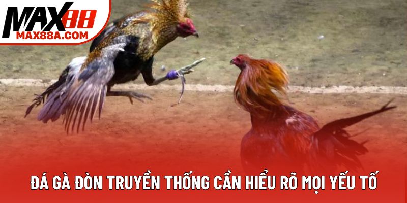 Đá gà đòn truyền thống cần hiểu rõ mọi yếu tố Đá gà đòn truyền thống cần hiểu rõ mọi yếu tố
