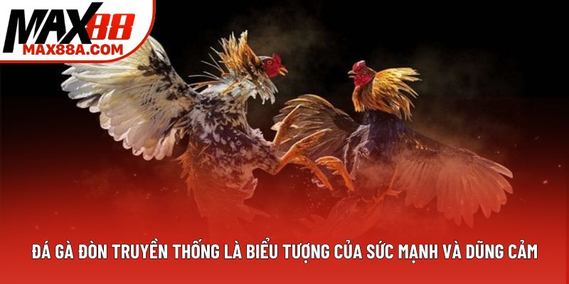 Đá gà đòn truyền thống là biểu tượng của sức mạnh và dũng cảm Đá gà đòn truyền thống là biểu tượng của sức mạnh và dũng cảm