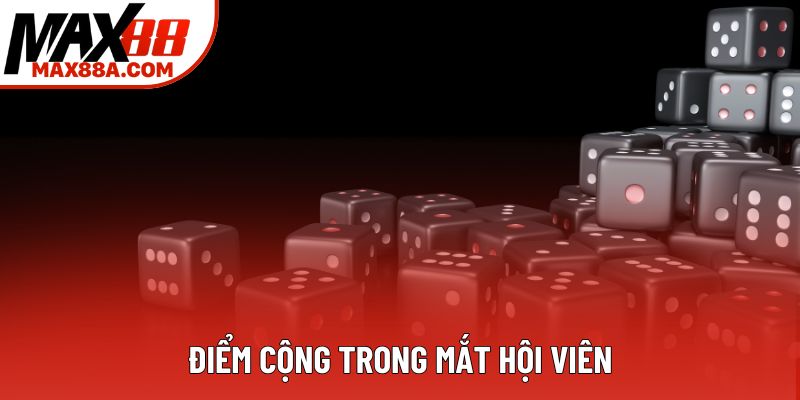 Điểm cộng trong mắt hội viên Điểm cộng trong mắt hội viên