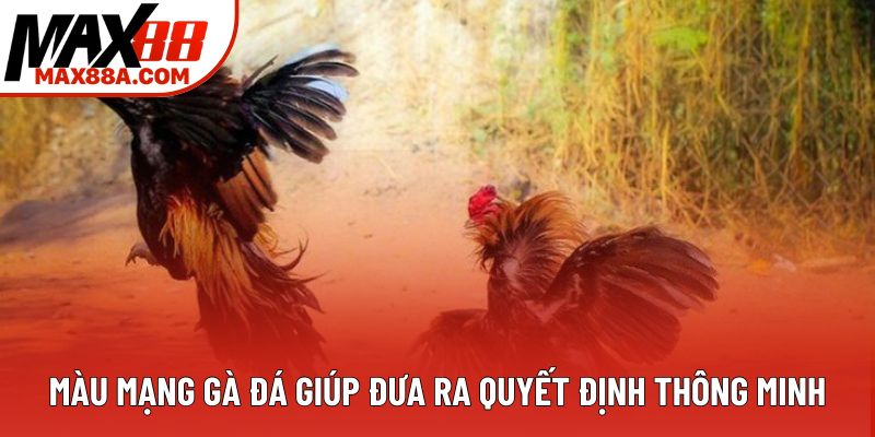 Màu mạng gà đá giúp đưa ra quyết định thông minh Màu mạng gà đá giúp đưa ra quyết định thông minh