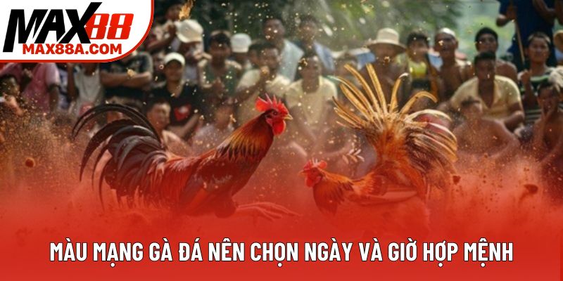 Màu mạng gà đá nên chọn ngày và giờ hợp mệnh Màu mạng gà đá nên chọn ngày và giờ hợp mệnh