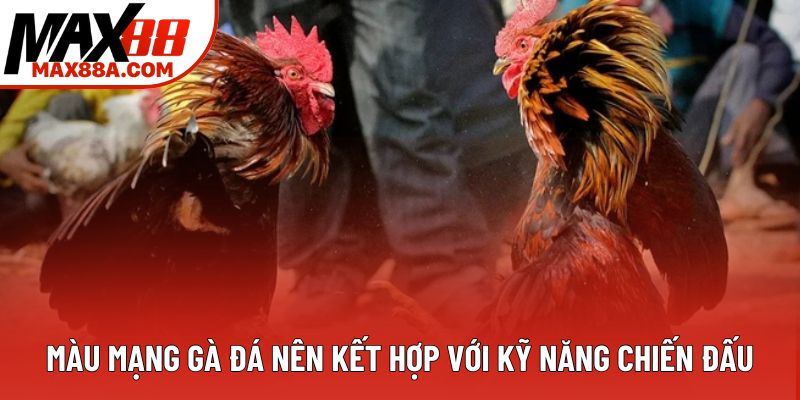 Màu mạng gà đá nên kết hợp với kỹ năng chiến đấu Màu mạng gà đá nên kết hợp với kỹ năng chiến đấu
