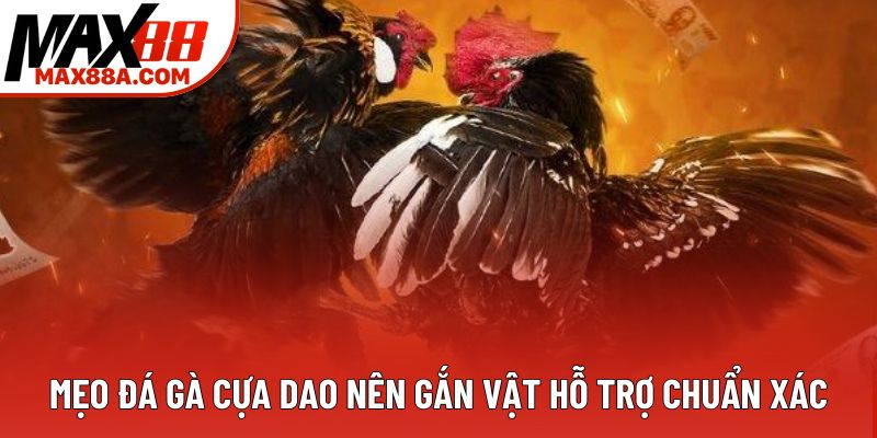 Mẹo đá gà cựa dao nên gắn vật hỗ trợ chuẩn xác Mẹo đá gà cựa dao nên gắn vật hỗ trợ chuẩn xác